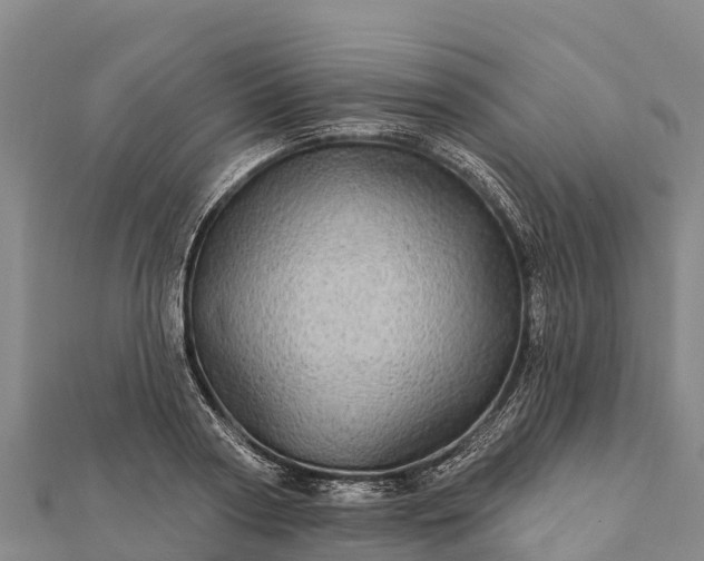 X0000112100794200908181324