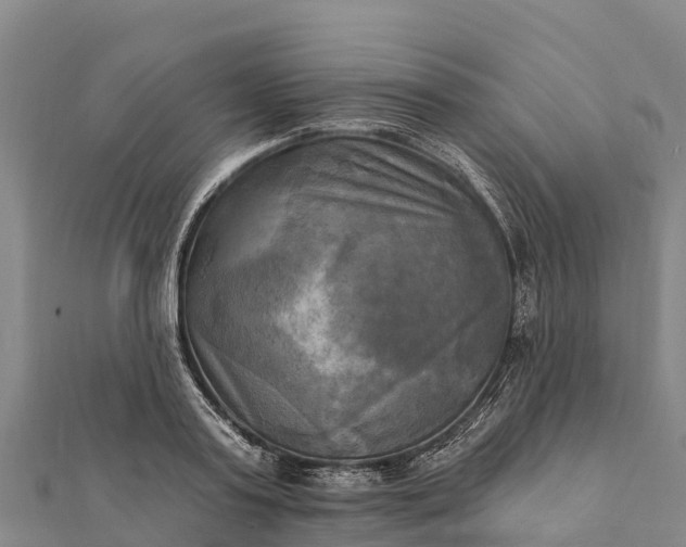 X0000112100795200908181324