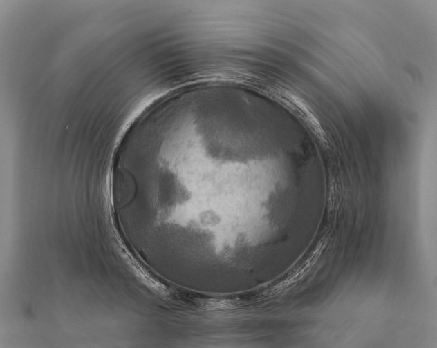 X0000112100796200908181324
