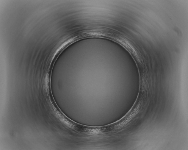 X0000112100798200908181324
