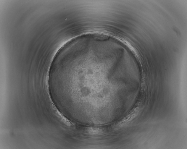 X0000112100799200908181324