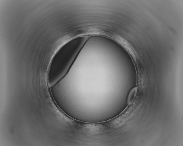 X0000112100805200908181324
