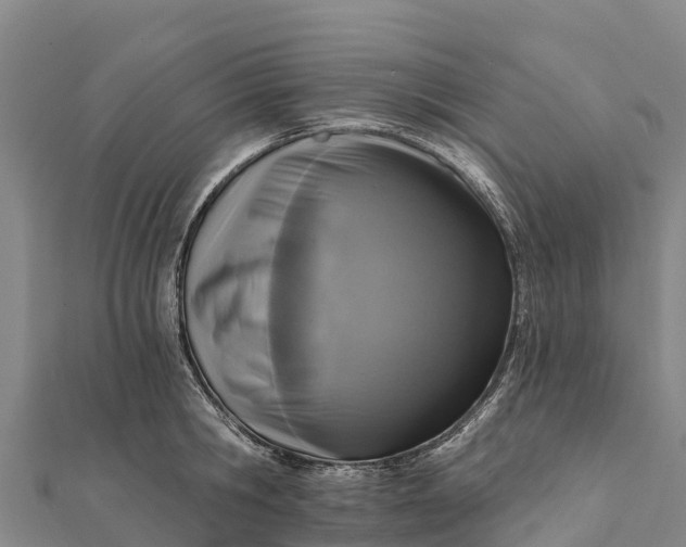 X0000112100806200908181324