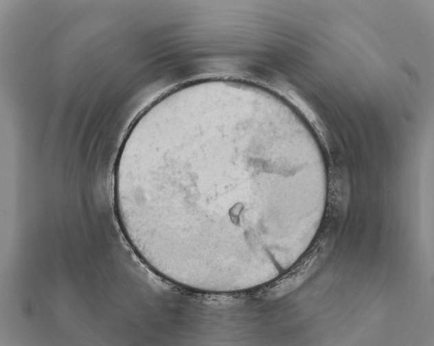 X0000112100807200908181324