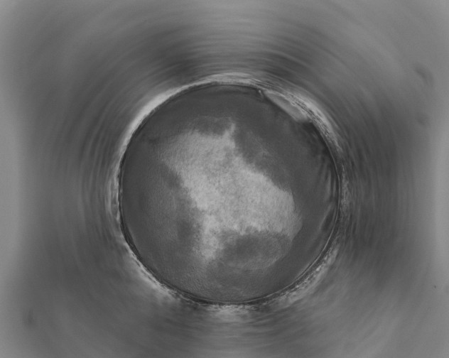 X0000112100808200908181324