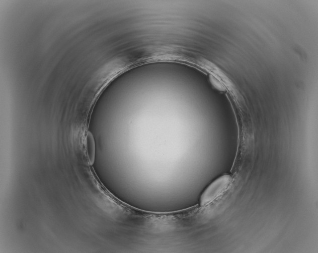 X0000112100809200908181324