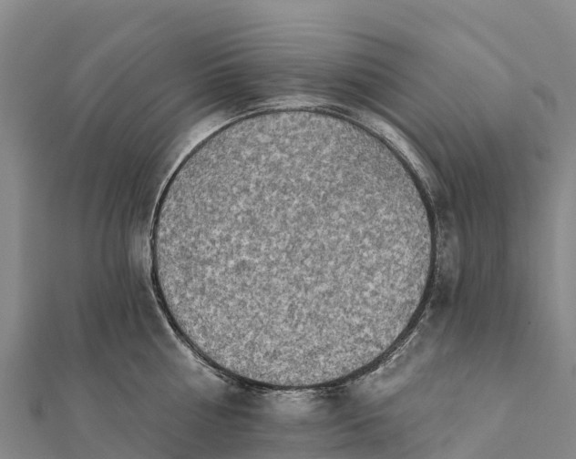 X0000112100810200908181324