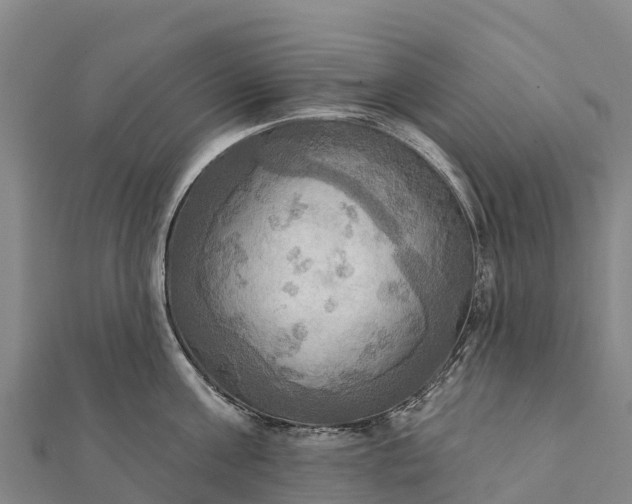 X0000112100811200908181324