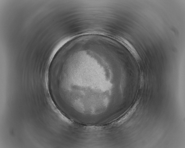 X0000112100812200908181324