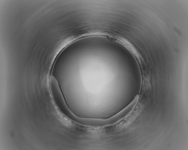X0000112100813200908181324