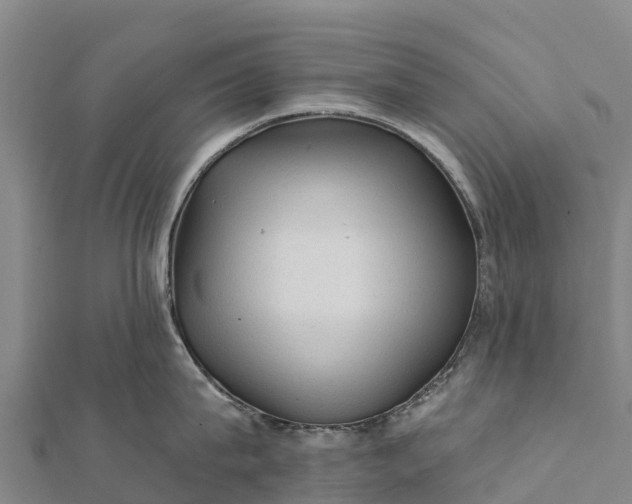 X0000112100815200908181324