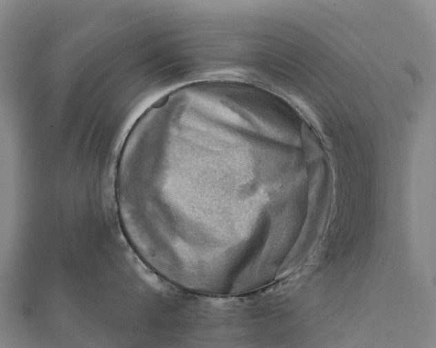 X0000112100816200908181324