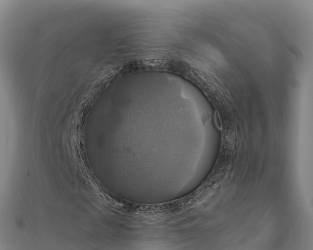 X0000112100817200908181323
