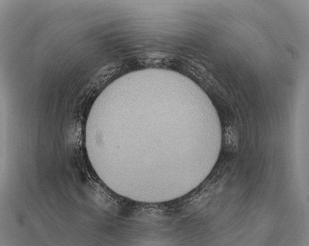 X0000112100820200908181323