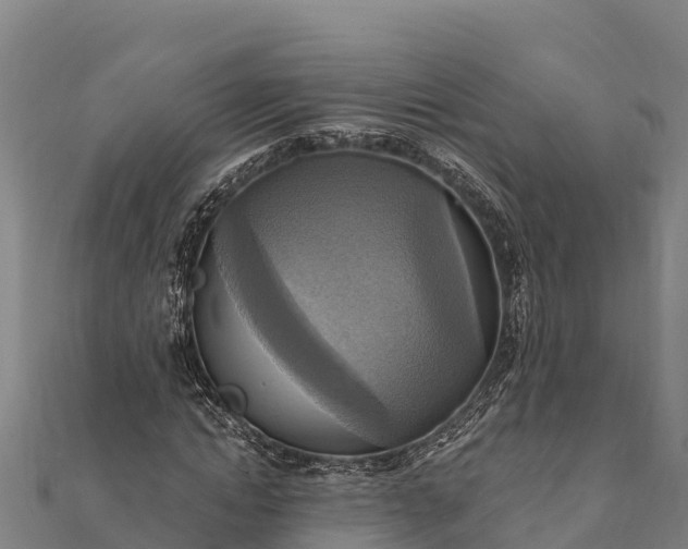 X0000112100822200908181323