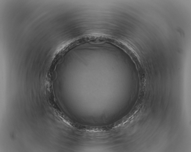 X0000112100823200908181323