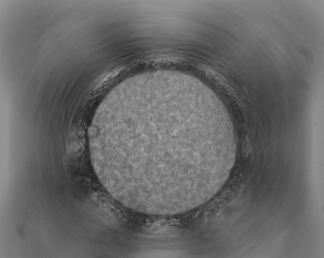 X0000112100824200908181323