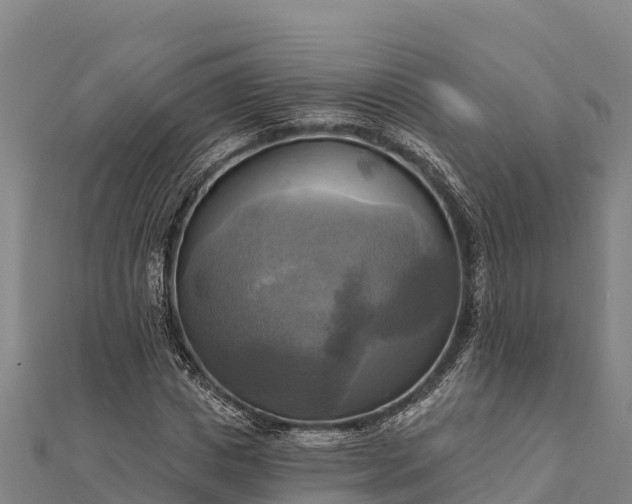 X0000112100825200908181323