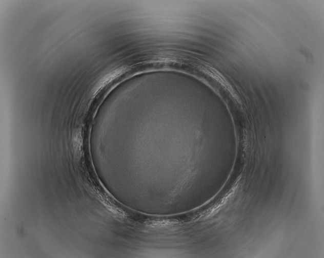 X0000112100826200908181323