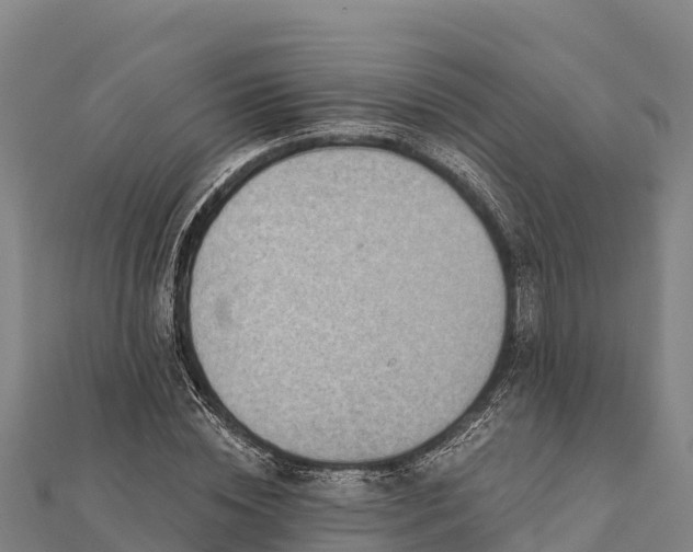 X0000112100828200908181323