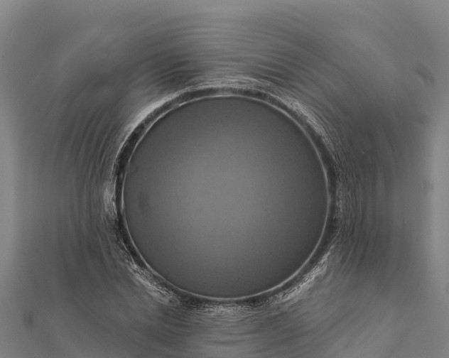 X0000112100830200908181323