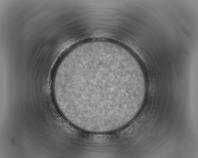 X0000112100832200908181323