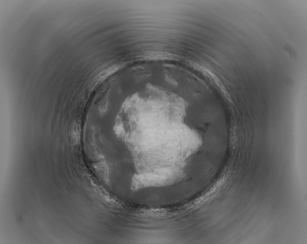 X0000112100833200908181323
