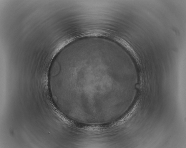 X0000112100834200908181323