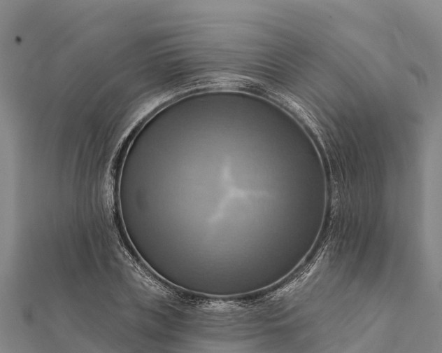 X0000112100835200908181323