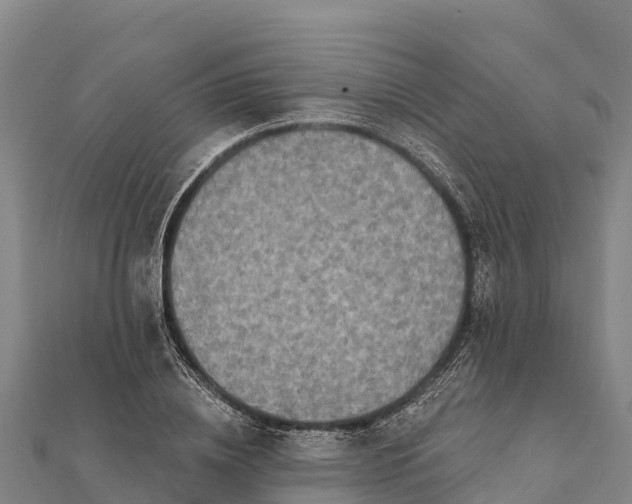 X0000112100836200908181323