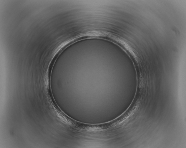 X0000112100837200908181323