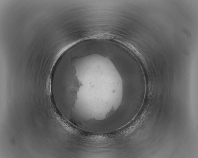 X0000112100838200908181324