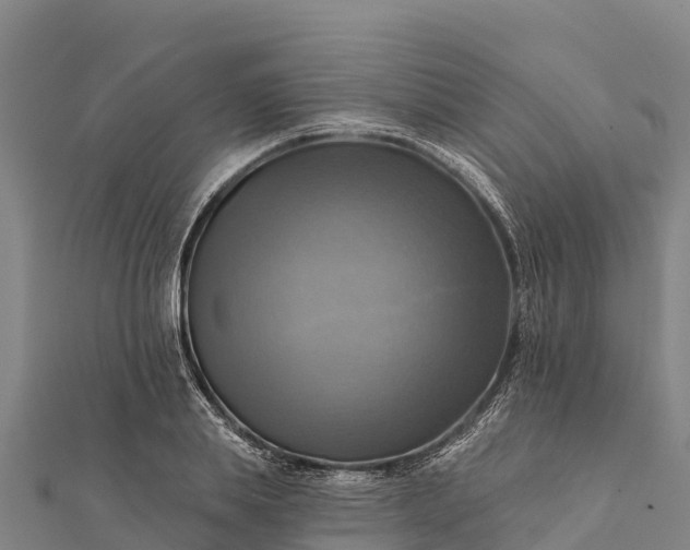 X0000112100839200908181324