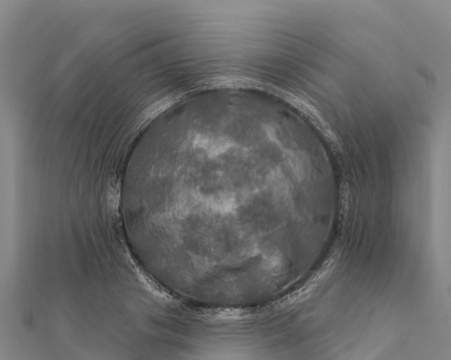 X0000112100841200908181324