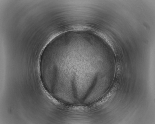 X0000112100843200908181324