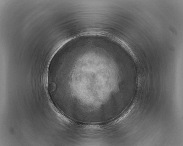X0000112100844200908181324