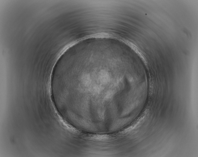 X0000112100845200908181324