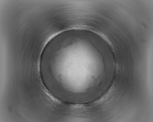 X0000112100846200908181324
