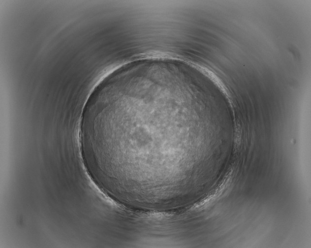 X0000112100847200908181324