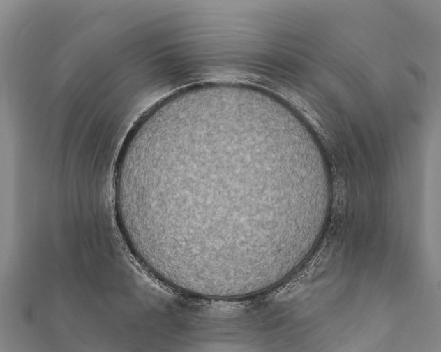 X0000112100848200908181324