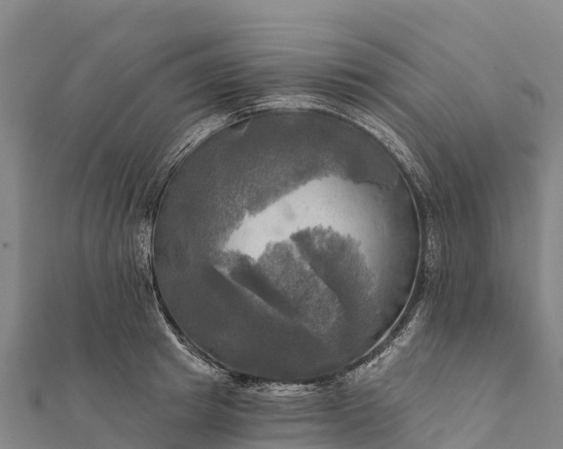 X0000112100849200908181324