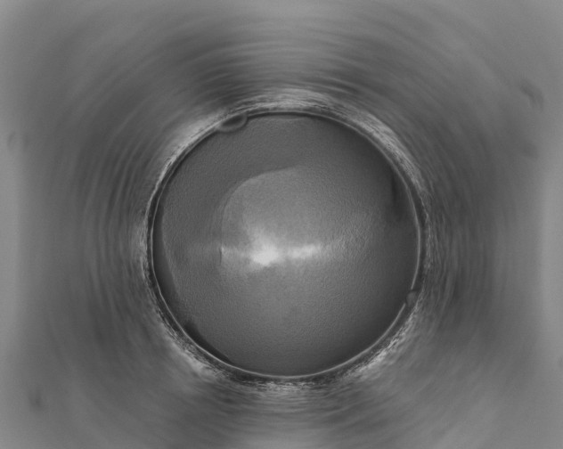 X0000112100850200908181324