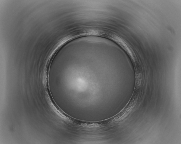 X0000112100851200908181324