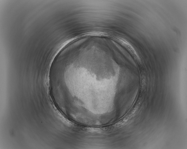 X0000112100852200908181324