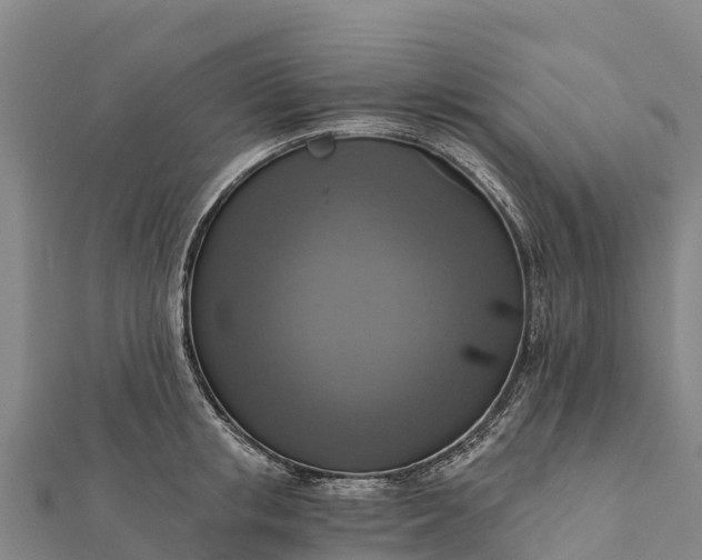 X0000112100853200908181324