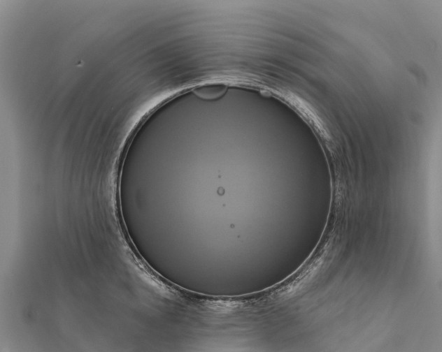 X0000112100854200908181324