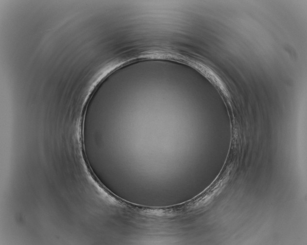 X0000112100855200908181324