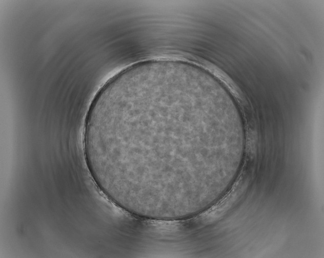 X0000112100856200908181324