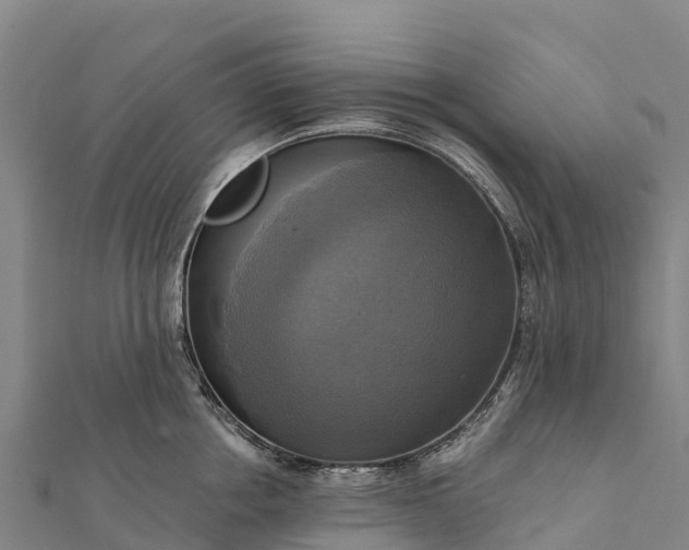 X0000112100858200908181324
