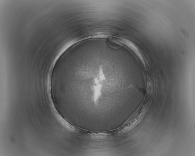 X0000112100859200908181324